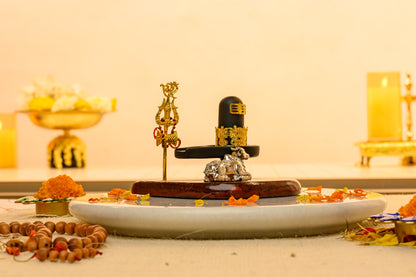 Shivling with Nandi & Trishul Idol | Matte Black Mahadev Set with Gold Detailing | Sacred Pooja & Meditation Decor